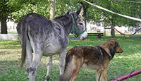 DSCN9052.jpg